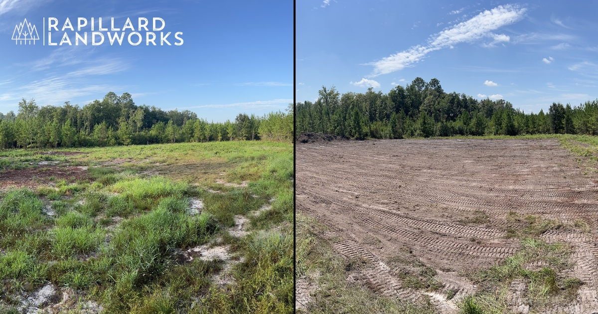 Georgia Land Clearing Transformation - Before & After