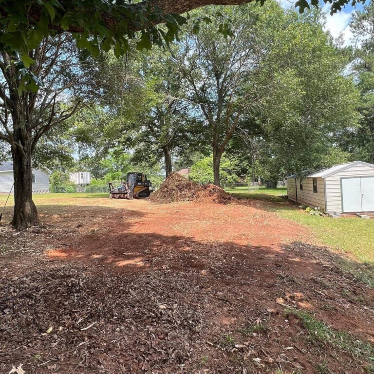 Land Clearing Job In Georgia